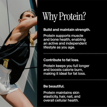 David's High Protein Bars Sugar Free, 28g Protein, 150 Calories - 12 Pack